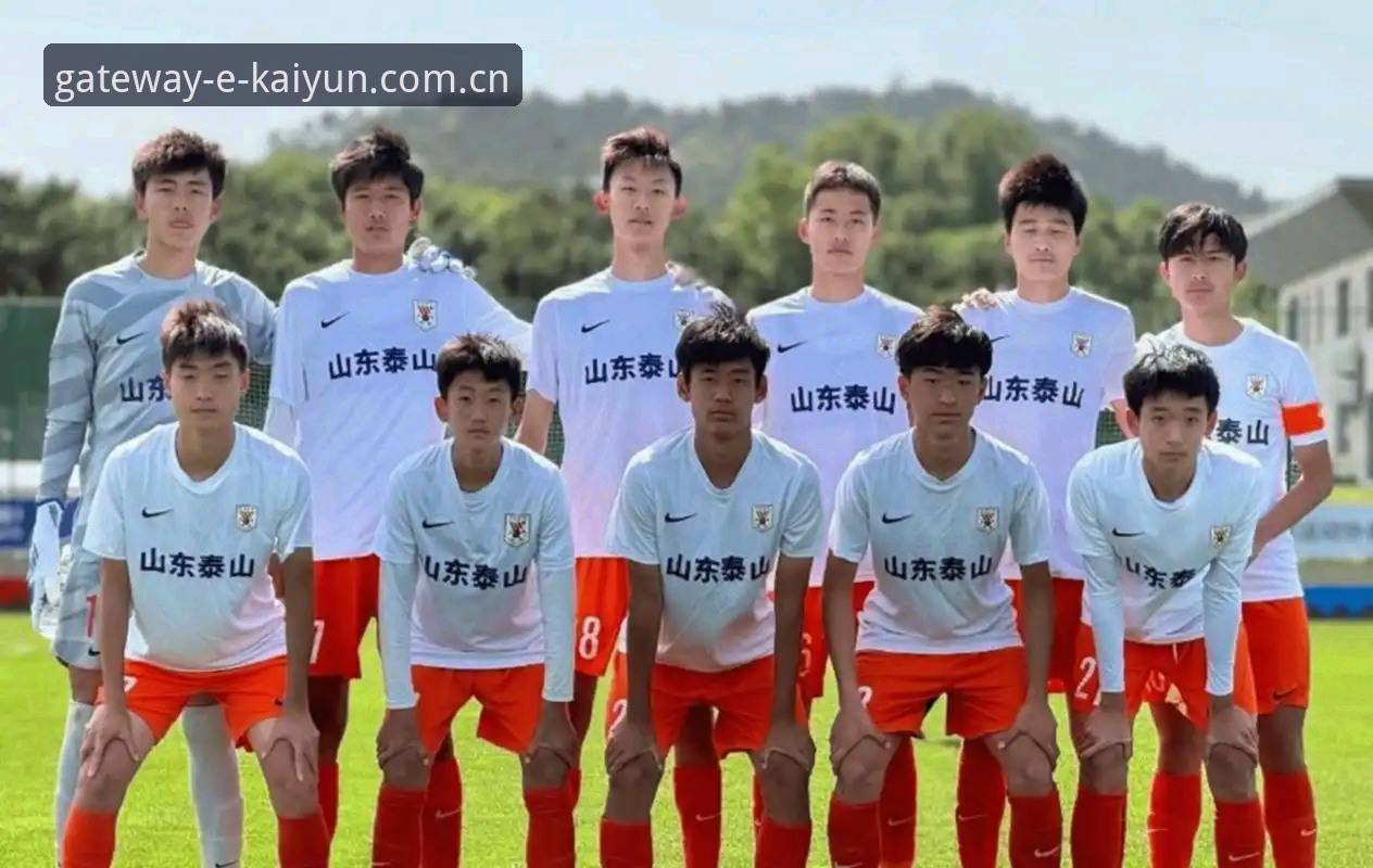 世界杯扩军66队 vs 现行48队：中国男足入场机会与kaiyun体育平台观赛体验对比